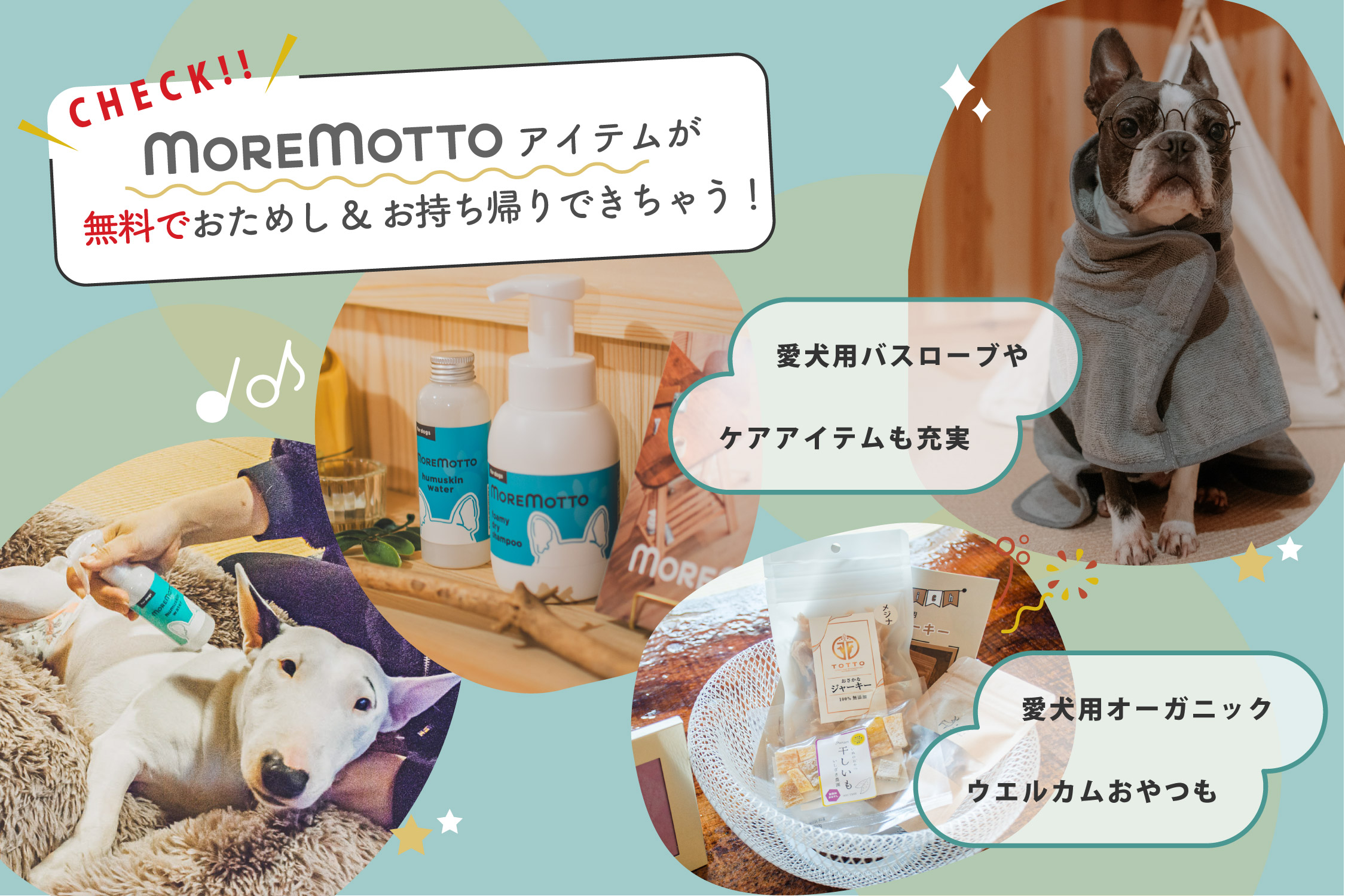 愛犬とととのうオーシャンビューテラス